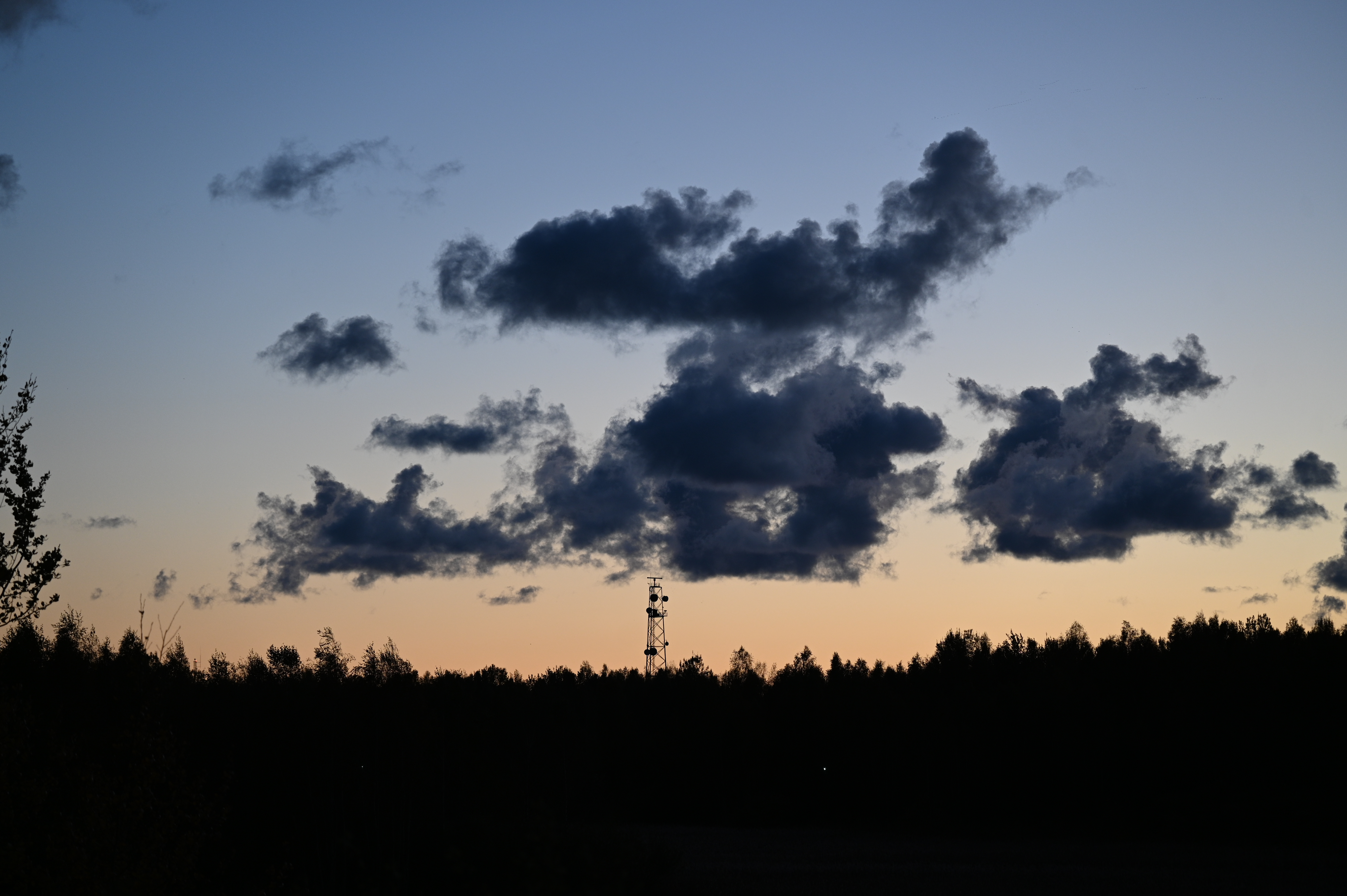 2025/10/18 - walk/DSC_0625.JPG